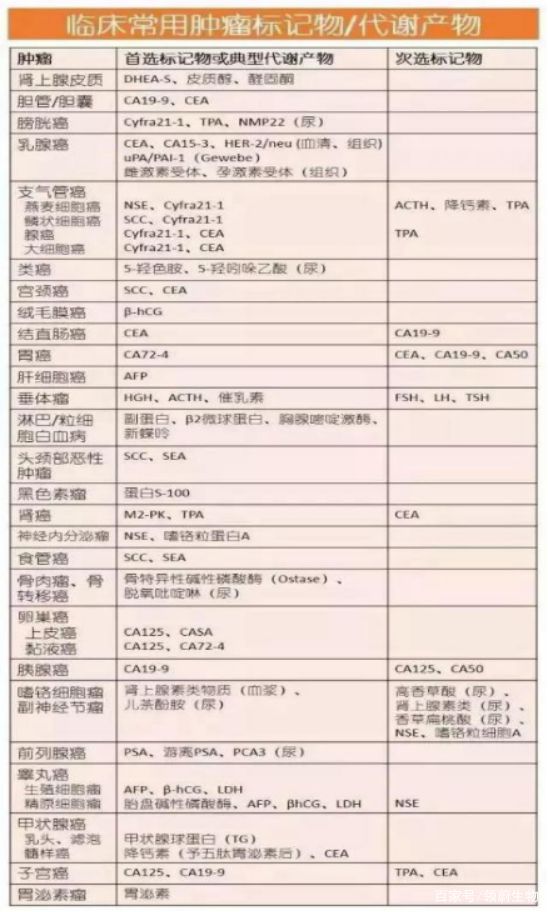 新澳门最准资料免费网站|精选资料解析大全